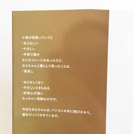 58c7b39602ac643e950006b6