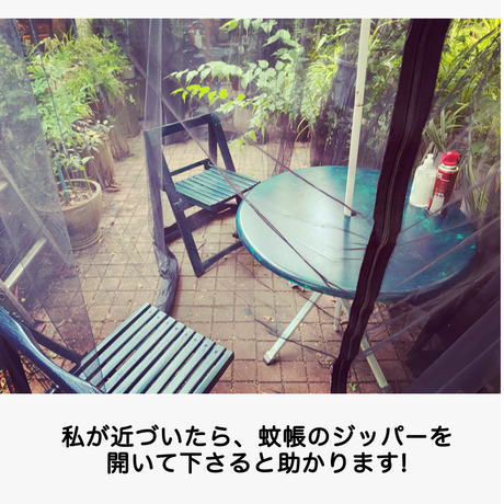 5ed0e470bd21781f5a1e0e24