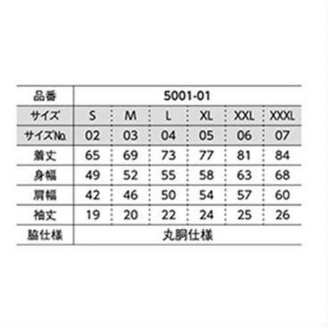 5b2a519550bbc377c90001f1