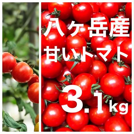 5e741c759df1632dd90ace77