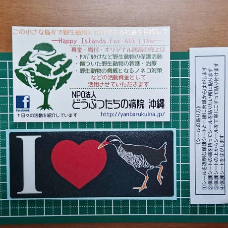 5559b760391bb332a2000db3