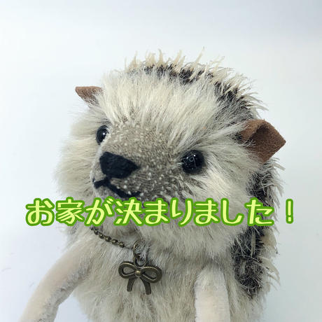 はりねずみ Stores