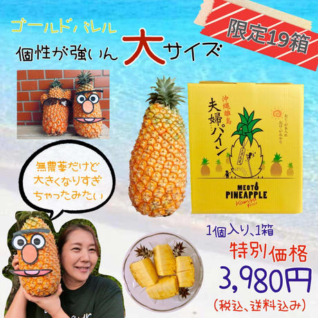 5eb2b2c272b9117aad571a5a