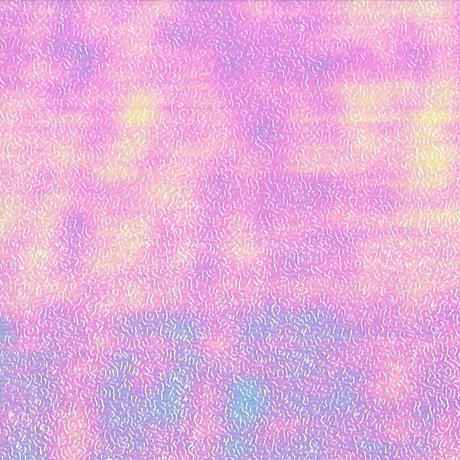 5c809c5ea341d00e55445221