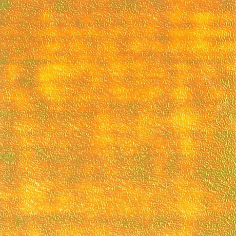 5c809c5ea341d00e55445221