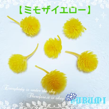 5ba776bbef843f6e180003c3