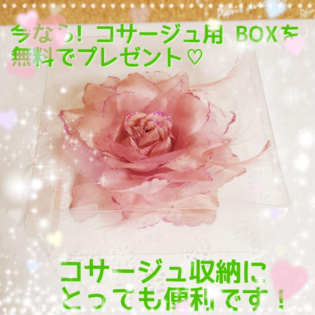 5a77fb31f22a5b774b000058