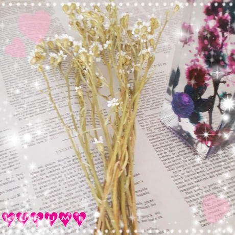 5a97cb6d122a7d22b30009e0