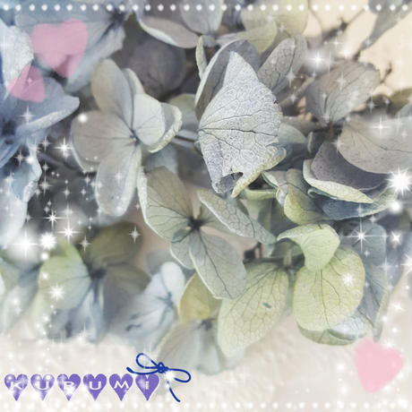 5a97c7b2ef843f59d60008a8