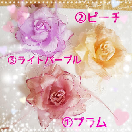 5a77fb31f22a5b774b000058