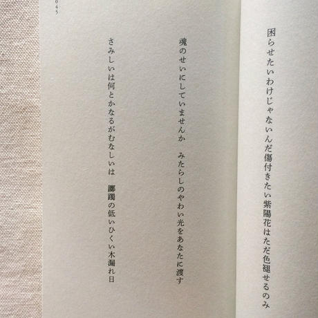 5f533f2cbc44dc45841ce2ef
