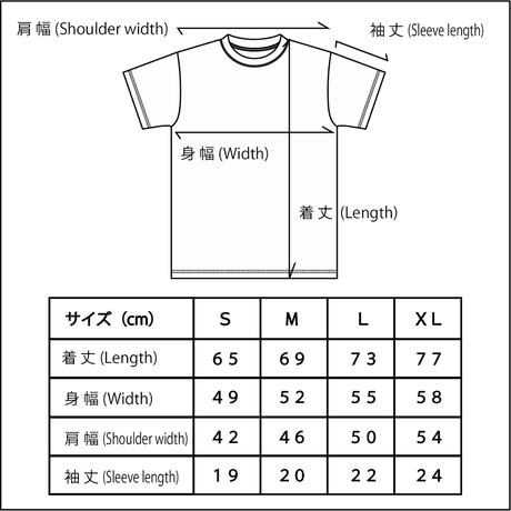 5cbfcef7d211bf29c8a310a8