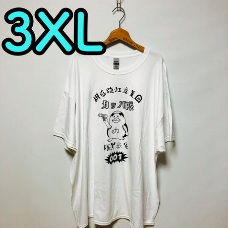 5f12909bea3c9d6d66509aeb