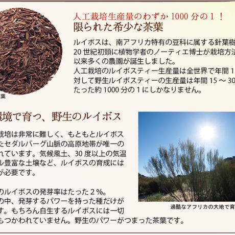 5808165ba458c059c10055b1