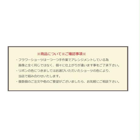 5c5bec80787d8475ceef5c40