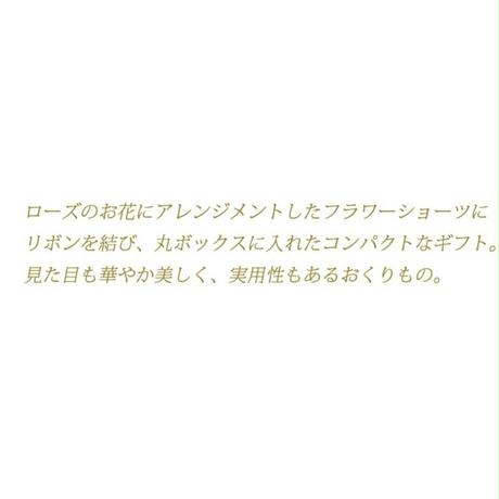 5c5bec80787d8475ceef5c40