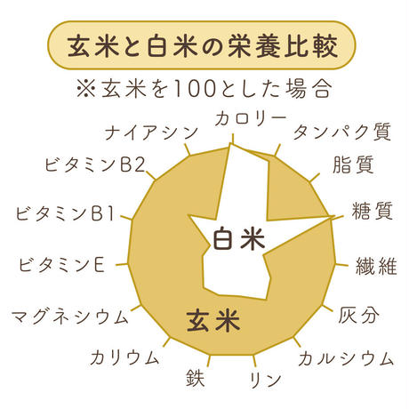 598d6659c8f22c0e9d012b45