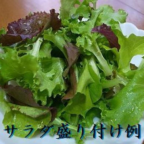 58a83ea700d331e1af008b1c