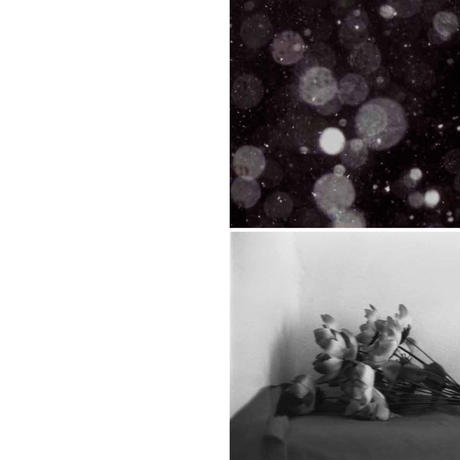 54cee8b486b18801030003a6