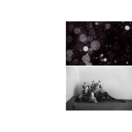 54cee8b486b18801030003a6