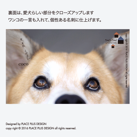 57a608e200d33140fb001fda