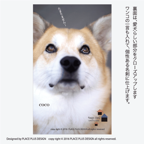 57a6087a9821cc891400e70f