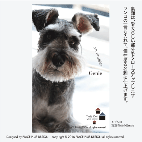5803bc1399c3cd12bc011ac2