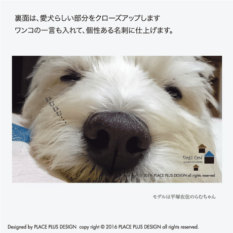 57f74cda9821cc5810001b98