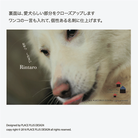 57a611be9821cc9c94007c84