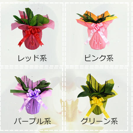 5b2f488550bbc37ed6002391