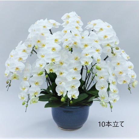 5b2f50c4122a7d4446001ad7
