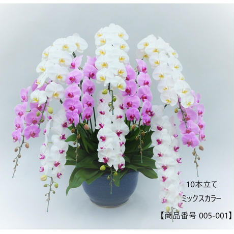 5b2f50c4122a7d4446001ad7