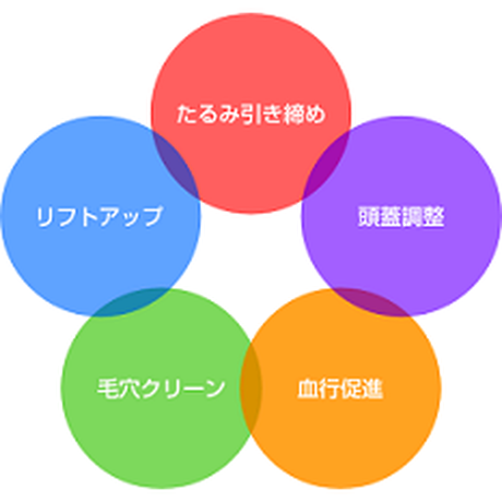556a832e2b3492a2b100019b