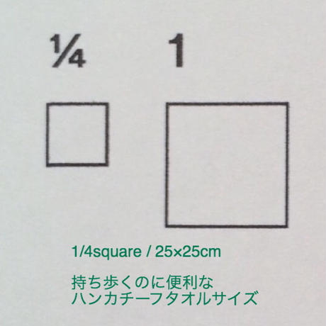 56e962a73cd482cd0300115c