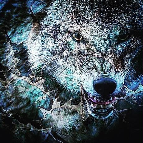 5c771693c2fc287c0f3cc113