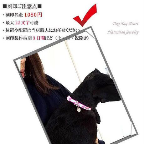 5d33656305721f259c3f31c9
