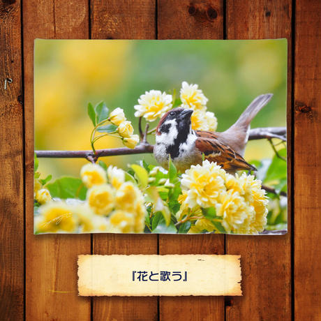 5ebc8985cee9ea01eab3c418