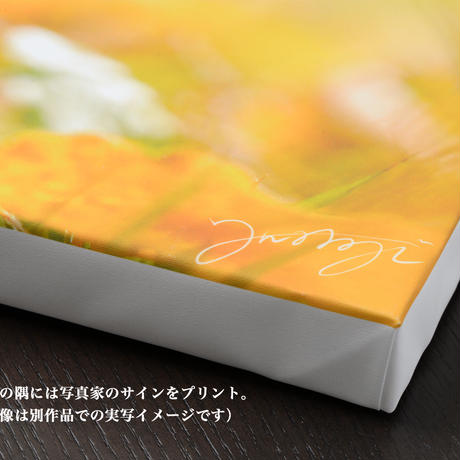 5d1891851fdaf554a9fdf33e