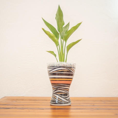カラーサンド 観葉植物lサイズ Blackスタイル Lovelye S Store