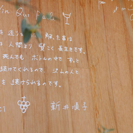 5ec63a6251576202abef0832