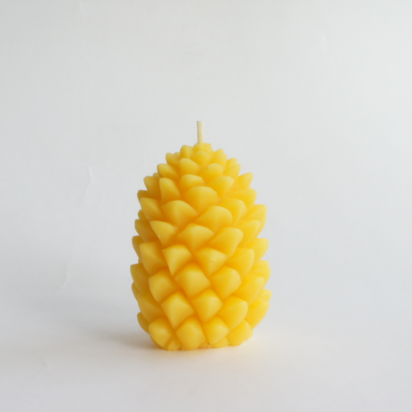 542156202b3492e3350009d7