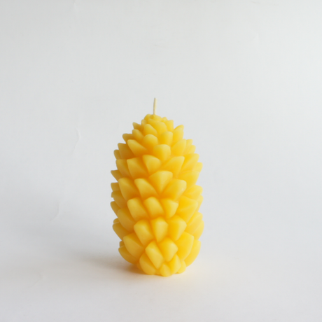 542156202b3492e3350009d7
