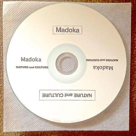 53fe05163cd4821611000456