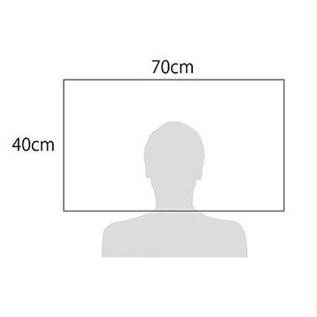 5ac87409ef843f1c99001fc7