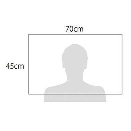 5ac861c35496ff79a8001033