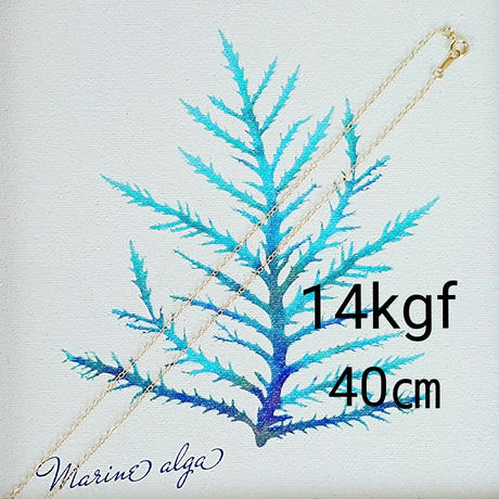 571d58ad00d331b083010d2b