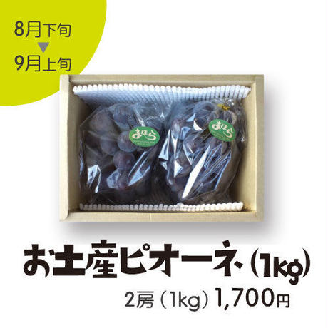 53eea4b20f826a9411000737