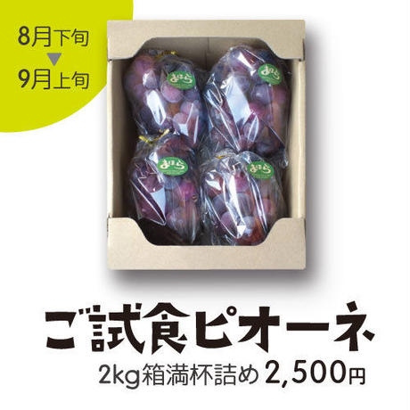 599cf1fec8f22c4ce4005991