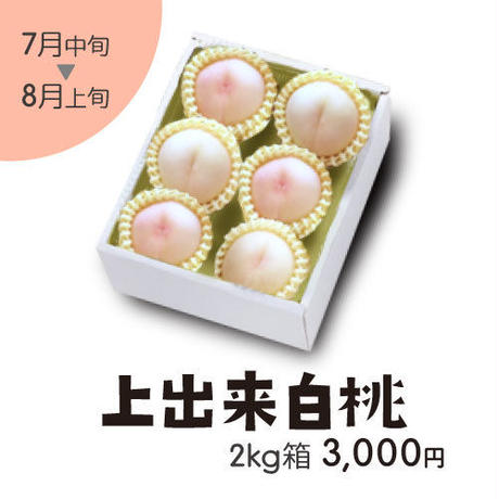 5b8fd68150bbc34e92000641