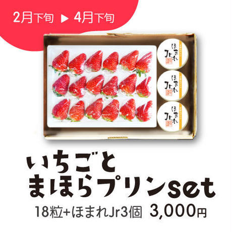 56c6c4e03cd482c05c000f43
